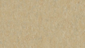 WYKŁADZINA TARKETT LINOLEUM VENETO xf²™ Bfl (2.5 mm) - SILK 625 szer.-2m  
