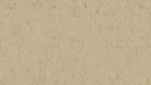 WYKŁADZINA TARKETT LINOLEUM VENETO xf²™ Bfl (2.5 mm) - SISAL 611 szer.-2m 