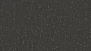WYKŁADZINA TARKETT LINOLEUM VENETO xf²™ Bfl (2.5 mm) - SLATE 674 szer.-2m 