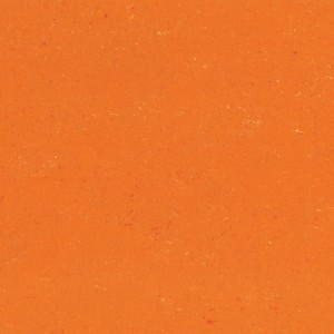 WYKŁADZINA GERFLOR LINOLEUM COLORETTE 0170 KUMQUAT ORANGE szer.-2m 