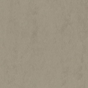 WYKŁADZINA GERFLOR LINOLEUM LINO ART URBAN 0550 BETON SOFT GREY szer.-2m  