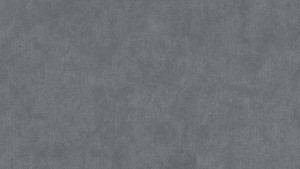 WYKŁADZINA TARKETT ACCZENT TAPIFLEX ESSENTIAL 50 - STAMP DARK GREY szer.-2m  