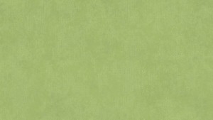 WYKŁADZINA TARKETT ACCZENT TAPIFLEX ESSENTIAL 50 - STAMP GREEN szer.-2m  