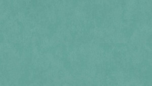 WYKŁADZINA TARKETT ACCZENT TAPIFLEX ESSENTIAL 50 - STAMP MINT szer.-2m 