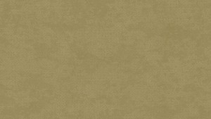 WYKŁADZINA TARKETT ACCZENT TAPIFLEX ESSENTIAL 50 - STAMP OLIVE szer.-2m 