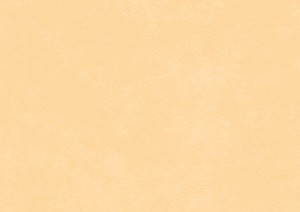 WYKŁADZINA ŚCIENNA GERFLOR MURAL CALYPSO 7104 MELON szer.-2m                      