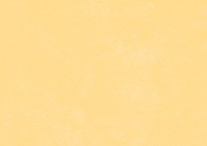 WYKŁADZINA ŚCIENNA GERFLOR MURAL CALYPSO 7201 MOONLIGHT szer.-2m                       