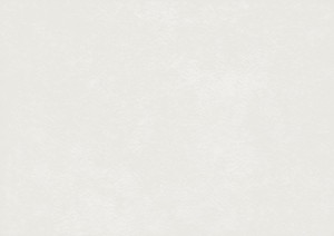 WYKŁADZINA ŚCIENNA GERFLOR MURAL CALYPSO 7711 ICE szer.-2m                    