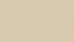 WYKŁADZINA ŚCIENNA TARKETT LINO WALL xf²  2mm - COTTON 122 szer.-2m   