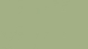 WYKŁADZINA ŚCIENNA TARKETT LINO WALL xf²  2mm - OLIVE 155 szer.-2m   