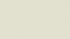 WYKŁADZINA ŚCIENNA TARKETT PROTECTWALL CR (CLEAN ROOMS) - UNI LIGHT BEIGE szer.-2m     