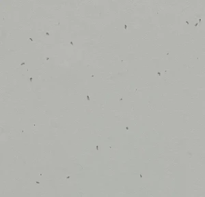 WYKŁADZINA FORBO SPHERA ENERGETIC 50202 CONCRETE szer.-2m   