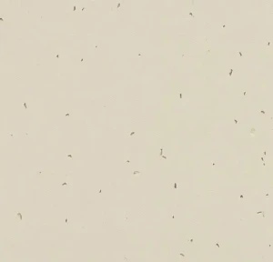 WYKŁADZINA FORBO SPHERA ENERGETIC 50221 LINEN szer.-2m  