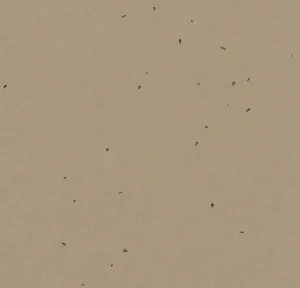 WYKŁADZINA FORBO SPHERA ENERGETIC 50209 NUTMEG szer.-2m   