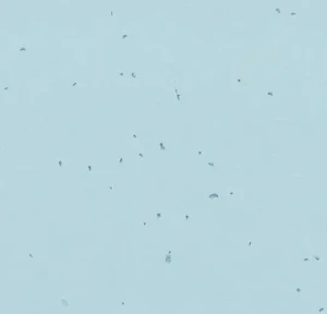 WYKŁADZINA FORBO SPHERA ENERGETIC 50239 ICE szer.-2m 