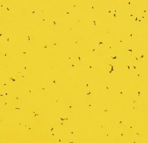 WYKŁADZINA FORBO SPHERA ENERGETIC 50201 YELLOW szer.-2m   