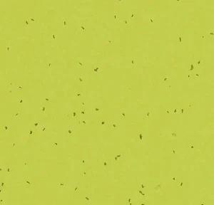 WYKŁADZINA FORBO SPHERA ENERGETIC 50214 LIME szer.-2m  