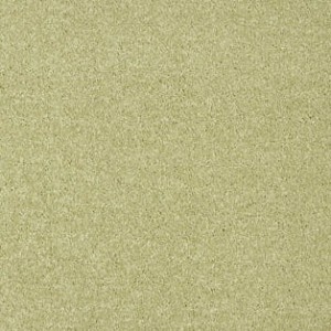 WYKŁADZINA KAI 21 szer. - 5m  