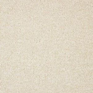 WYKŁADZINA NILE 30 szer. - 5m  