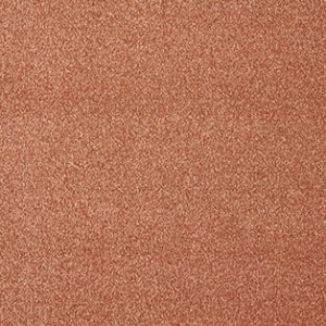 WYKŁADZINA SATISFACTION 82 szer. - 5m  