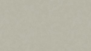 WYKŁADZINA TARKETT ACCZENT EXCELLENCE COMPACT+ - ESQUISSE LIGHT GREY szer. -2m    