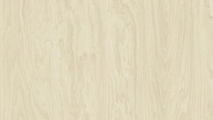WYKŁADZINA TARKETT ACCZENT EXCELLENCE COMPACT+ - PLYWOOD NATURAL szer. -2m    