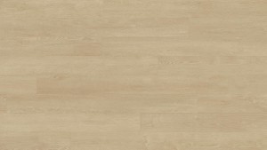 WYKŁADZINA TARKETT ACCZENT EXCELLENCE COMPACT+ - XXL OAK NATURAL szer. -2m    