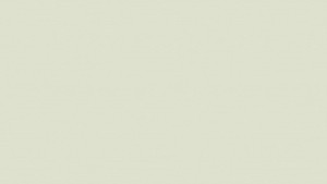 WYKŁADZINA TARKETT ACCZENT EXCELLENCE COMPACT+ - TISSAGE 2 SOFT KAKI szer. -2m   