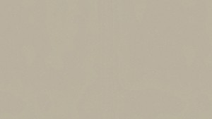 WYKŁADZINA TARKETT ACCZENT PLATINIUM 100 - GROUND BEIGE szer. -2m    