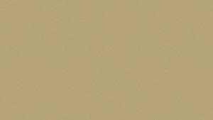 WYKŁADZINA TARKETT ACCZENT PLATINIUM 100 - GROUND OCHRE szer. -2m    