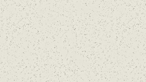 WYKŁADZINA TARKETT ACCZENT PLATINIUM 100 - ICE 2 BLACK & WHITE szer. -2m     