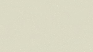 WYKŁADZINA TARKETT ACCZENT PLATINIUM 100 - ICE BEIGE szer. -2m      