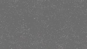 WYKŁADZINA TARKETT ACCZENT PLATINIUM 100 - ICE BLACK szer. -2m      