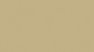 WYKŁADZINA TARKETT TAPIFLEX EXCELLENCE (19dB) - TAPPED METAL BRASS szer.-2m   