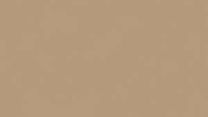 WYKŁADZINA TARKETT TAPIFLEX EXCELLENCE (19dB) - TAPPED METAL COPPER szer.-2m   