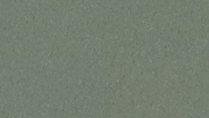 WYKŁADZINA TARKETT IQ NATURAL - DUSTY GREEN 0159 szer. -2m  