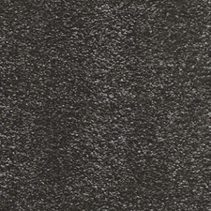 WYKŁADZINA SECRET 99 szer. - 5m 