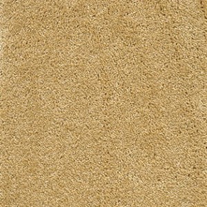 WYKŁADZINA SENTIMENT 54 szer. - 5m  