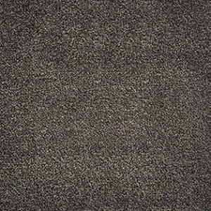 WYKŁADZINA TIGRIS 99 szer. - 5m  