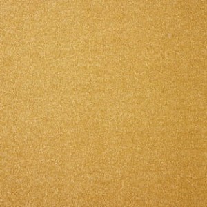 WYKŁADZINA VARUNA 55 szer. - 5m  