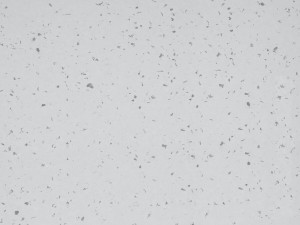 WYKŁADZINA GERFLOR MIPOLAM PLANET 5409 PEBBLE BEACH szer. 2m     