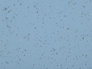 WYKŁADZINA GERFLOR MIPOLAM PLANET 5416 ACQUAMARINA szer. 2m   