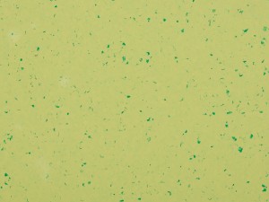 WYKŁADZINA GERFLOR MIPOLAM PLANET 5427 GREEN ZEST szer. 2m   