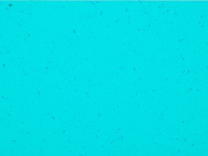 WYKŁADZINA GERFLOR MIPOLAM PLANET 5437 REEF WATER szer. 2m    