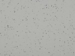 WYKŁADZINA GERFLOR MIPOLAM PLANET 5439 MOON WAY szer. 2m    