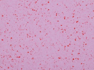 WYKŁADZINA GERFLOR MIPOLAM PLANET 5482 SUGAR DRIP szer. 2m   