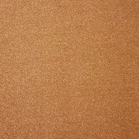 WYKŁADZINA AW REVIVE 82 szer. - 5m  