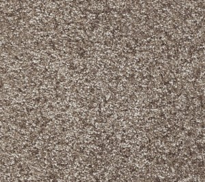 WYKŁADZINA FUSION 04 szer. -5m  