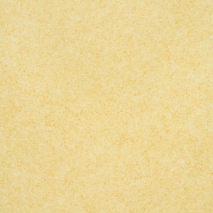 WYKŁADZINA FATRA NOVOFLOR EXTRA VIRGO 2805-5 szer. 2m  