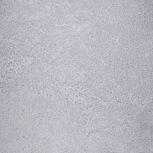 WYKŁADZINA FATRA NOVOFLOR EXTRA SPARKLE 2440-58 szer. 2m  